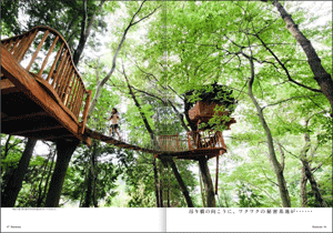 treehouse